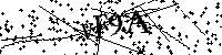 Escribe las letras y los números que aparecen a continuación