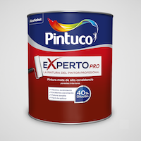 Pintura Decorativa