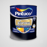 Pintura Construcción