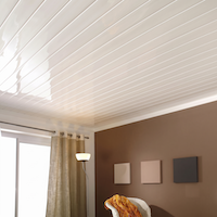 Cielo Raso PVC