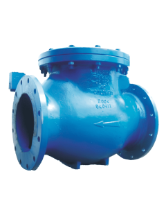 Valvula Retencion 2" Brida Pn10