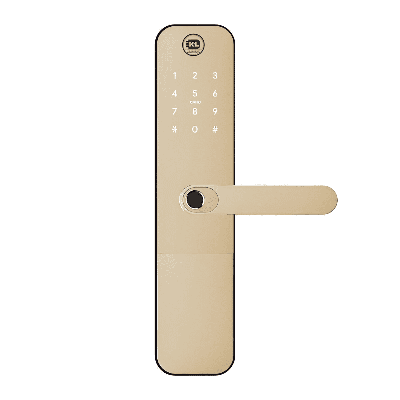 Cerradura  Electronica