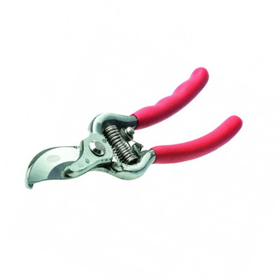 Tijera Floricultura 8 Cuerpo Acero  Herragro 0206