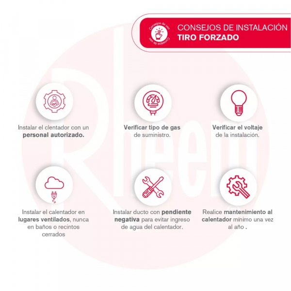 Calentador De Agua 12Lt Gas Natural Tiro Forzado Rheem 600074724