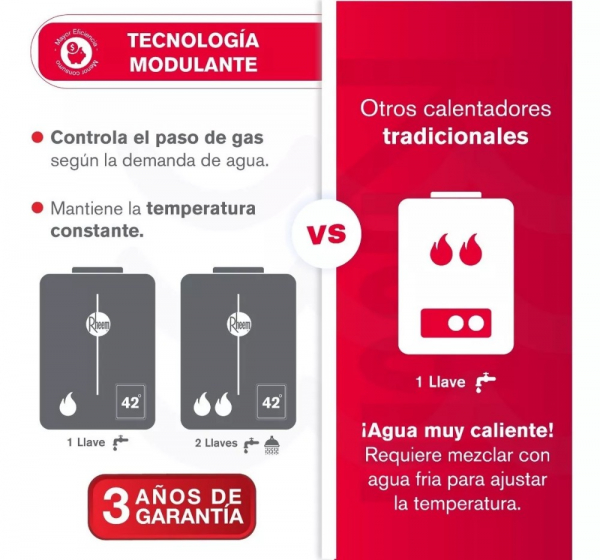 Calentador De Agua 12Lt Gas Propano Tiro Forzado Rheem 600074672 Digital