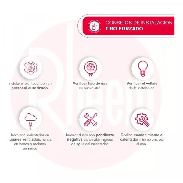 Calentador De Agua 12Lt Gas Propano Tiro Forzado Rheem 600074672 Digital