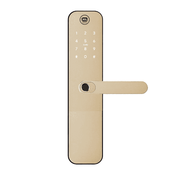 Cerradura  Electronica