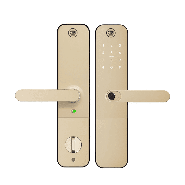 Cerradura  Electronica