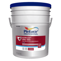 Pintura Construcción